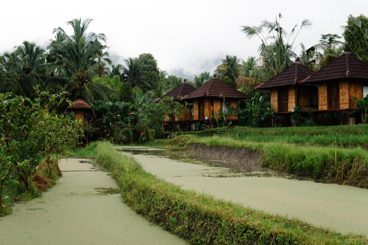 Puri Sunny Camp Villa Munduk  Exterior photo