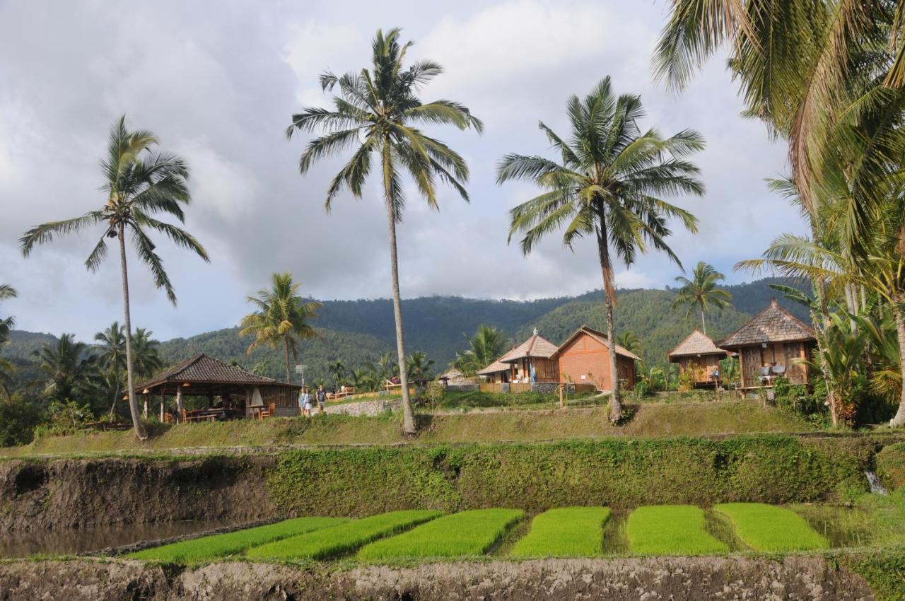 Puri Sunny Camp Villa Munduk  Exterior photo